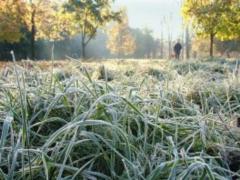 У середу на схід України прийдуть перші заморозки