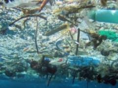 У Північному Льодовитому океані виявили  сміттєва пляма  з пластика