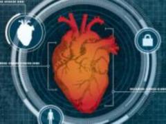 American scientists have created a unique biometric scanner