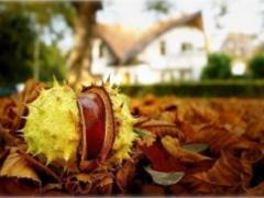On Thursday in Ukraine it will be dry and cool