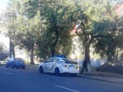 В Кременчуге дикая утка прокатилась на полицейском Приусе
