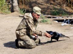 Штаб: за сутки у ВСУ есть потери в АТО