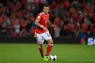 Wales remained without Bayle in the decisive qualifying matches for the 2018 World Cup