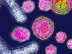 Scientists reported on the imminent revolution in medicine