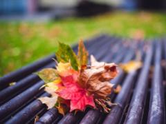 Синоптики клянуться, що в Україні буде тепло