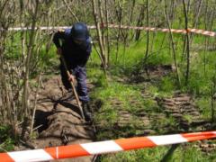 Грибники під Харковом зробили дуже небезпечну знахідку