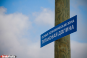 «Титановая долина» попала в мировой рейтинг