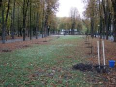 В Харькове появилась аллея сакур