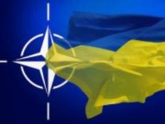 В НАТО рассказали о сотрудничестве Украины с трастовыми фондами альянса