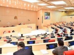 Грузинский парламент принял новую Конституцию