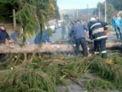 На Закарпатье назвали недавний ураган чрезвычайной ситуацией местного уровня