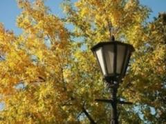 В Украине в пятницу будет по-прежнему тепло