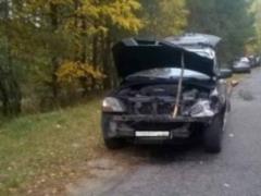 На Киевщине второй раз за неделю автомобиль сбил лося