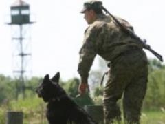 На Сумщине пограничники задержали 12 незаконных мигрантов