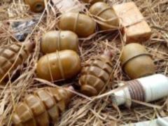 На Донбассе в лесополосе нашли десять тыс. патронов и взрывчатку
