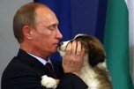 Американское издание в обычном явлении усмотрело подтекст