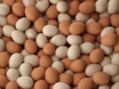 Киевлянин похитил яйца с птицефермы