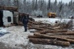 В Коми школьный автобус столкнулся с груженым лесовозом, есть жертвы