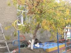Под Запорожьем случайно нашли останки ископаемого гиганта