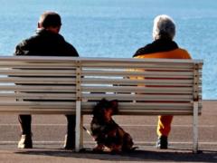 Mathematics has helped scientists answer the question of the possibility of immortality