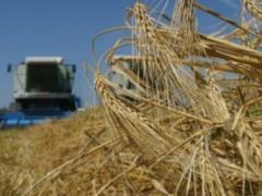 Украина увеличила импорт аграрной продукции