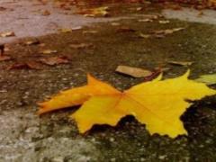 У четвер в Україні знову повернеться тепло