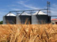 Экспорт украинского зерна составляет более 14 млн тонн