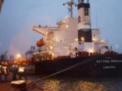 В Украину прибыл южноафриканский уголь