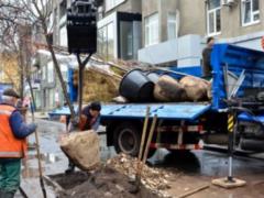 У Харкові до кінця року висадять близько 2000 дерев