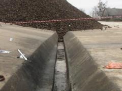 Трагедия под Киевом. В Узине подорвался работник сахарного комбината