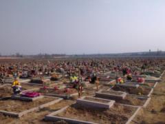 Госстат: на Харьковщине на сто умерших лишь 52 рожденных