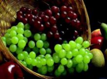 Festive diet