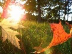 У вівторок на сході України - дощ, а в Карпатах - мороз