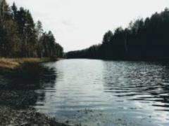 В Україні з початку року на водоймах загинуло близько тисячі громадян