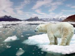  The Heat Comes . The scientist has told, what weather waits for us in the future