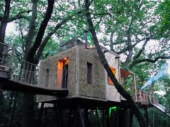 Luxurious hut on chicken legs pretends to be the title of  House of the Year 