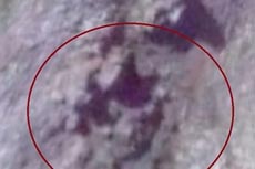 On Google Maps found a hidden spaceship
