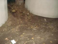В столице обнаружено самодельное взрывное устройство
