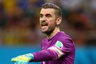 Stipe Pletikosa: If there was no Lucescu, I do not think that Shakhtar would have climbed to such heights