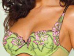 Secrets of an ideal breast