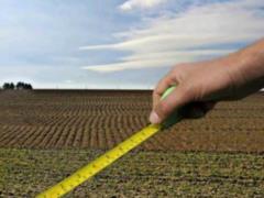 Groysman proposes the right to manage land to the masses
