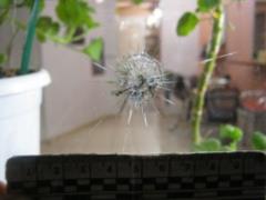 In Konstantinovka, a local resident accidentally blew up a grenade