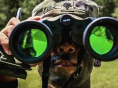 NATO inspectors will show Crimea from afar