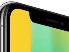 Crack in dynamics: iPhone X owners are faced with a new defect