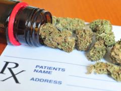 New York was allowed to treat the  Afghan syndrome  of marijuana