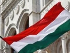 Венгрия вызвала украинского посла на ковер за снятый флаг на Закарпатье