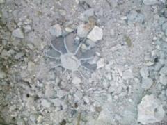 Боевики из минометов обстреляли жилые кварталы Марьинки