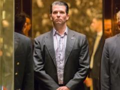 Син Трампа таємно листувався з WikiLeaks