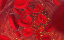 Do I need cholesterol for intimacy?