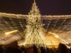 Головна новорічна ялинка буде прикрашена 3,6 км гірлянд
